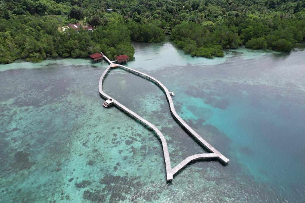 Pemandangan udara laguna dan pulau-pulau kecil Raja Ampat dengan gradasi warna air yang memukau
